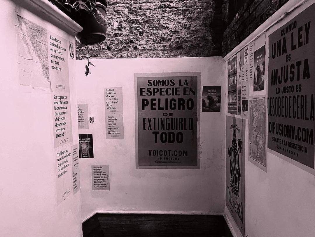 La Habitación en casa particular Montevideo