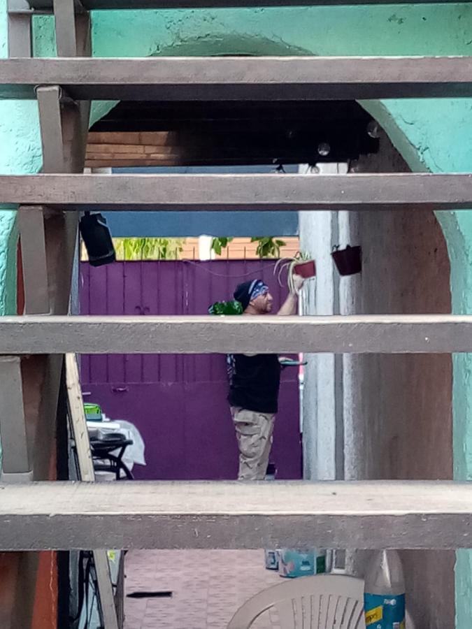 Patio Urbano & Beds