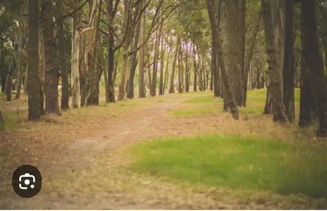 Playa, Bosque Y Apartamento *