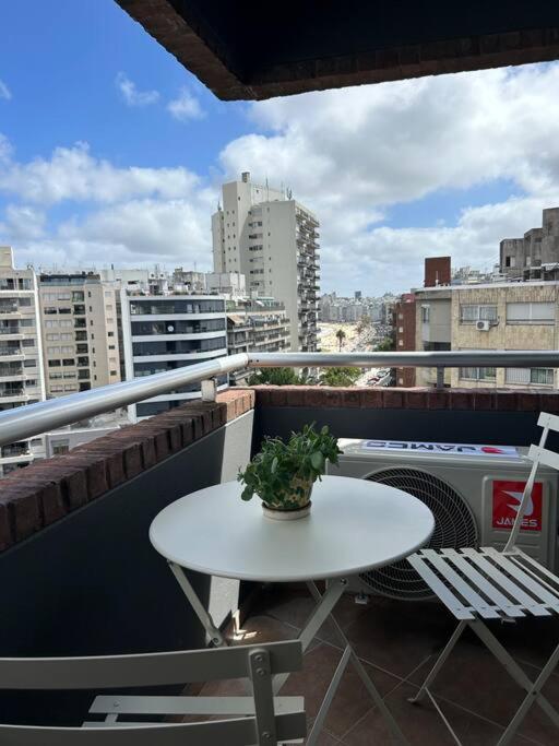 Muy Comodo Y Trendy Apartamento