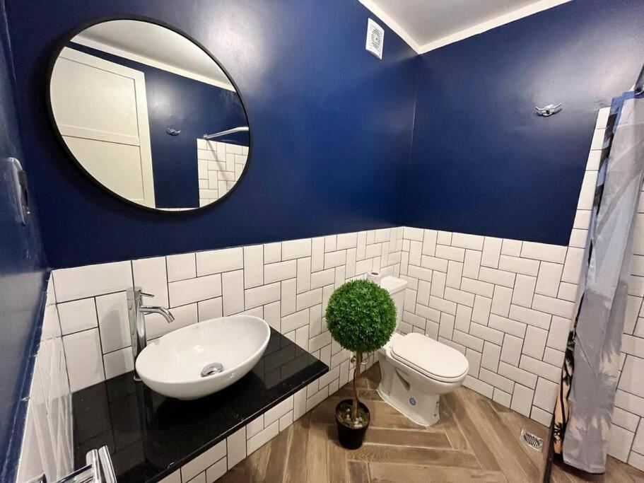 Acogedor Apto En Centro De Apartamento