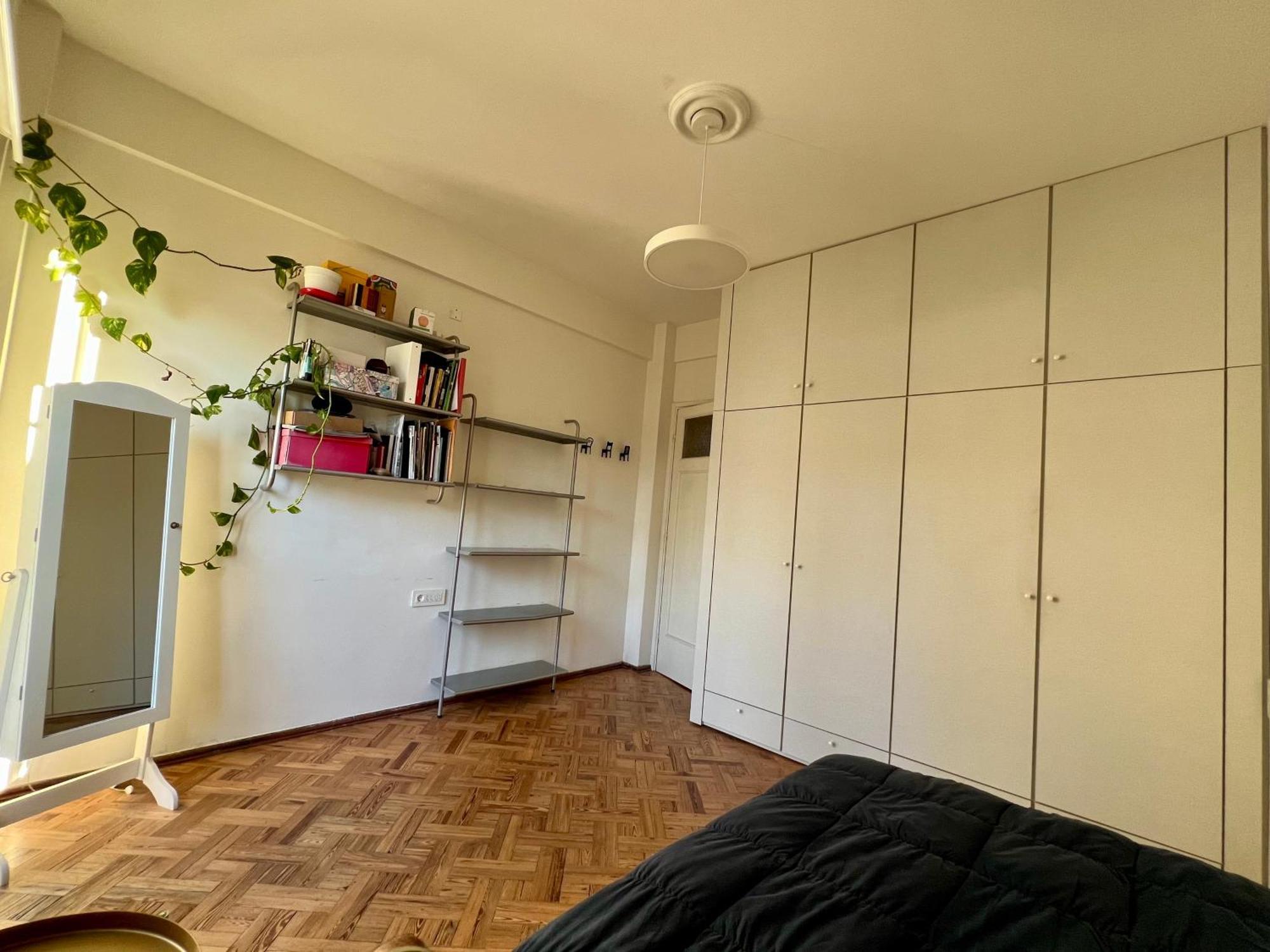 Amplio De Diseno