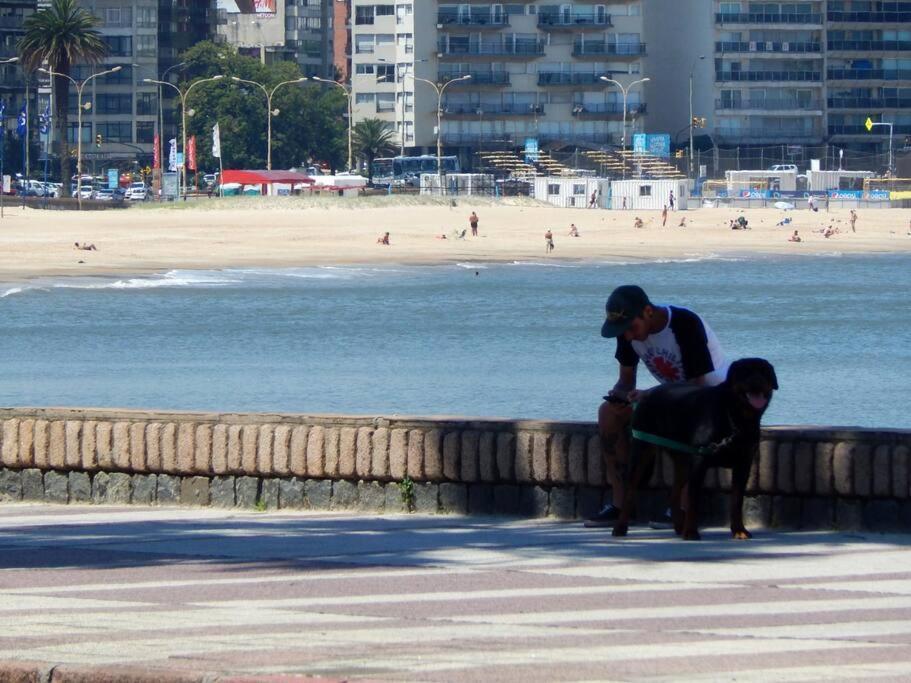 Apartamento Punta Carretas Comodo Frente Al Mar Playa Pocitos *