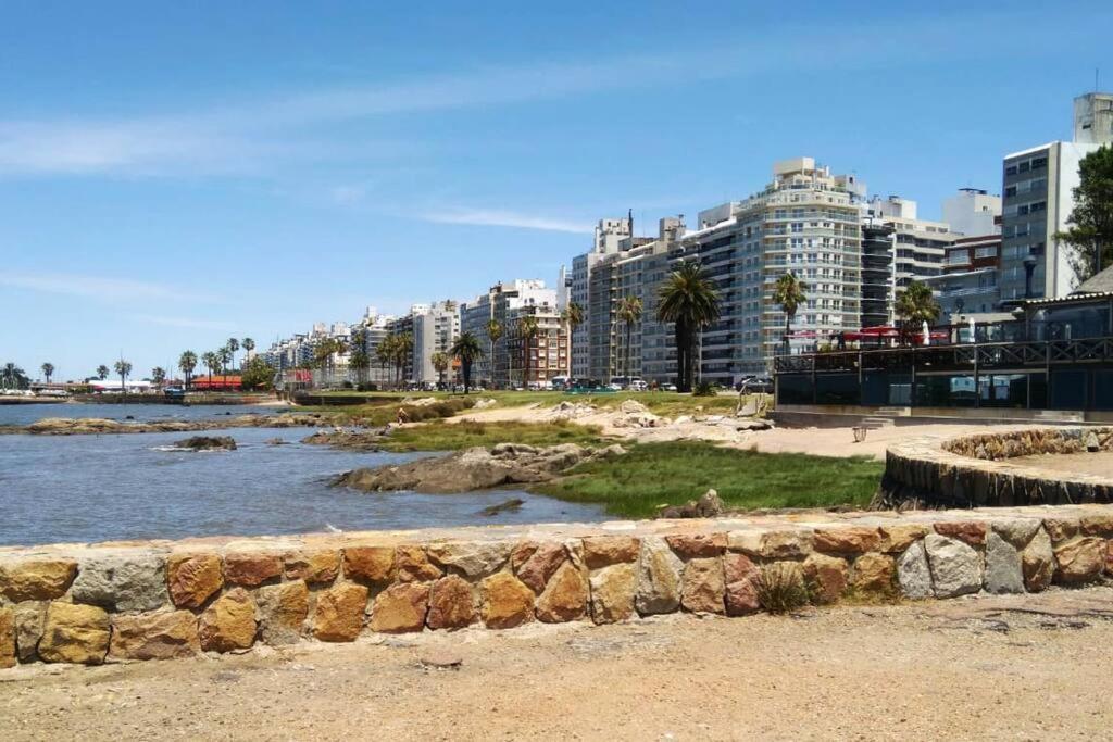 Apartamento Punta Carretas Comodo Frente Al Mar Playa Pocitos *