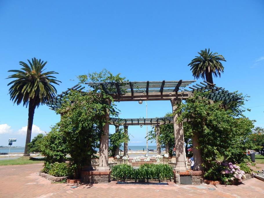 Punta Carretas Comodo Frente Al Mar Playa Pocitos * Montevideo