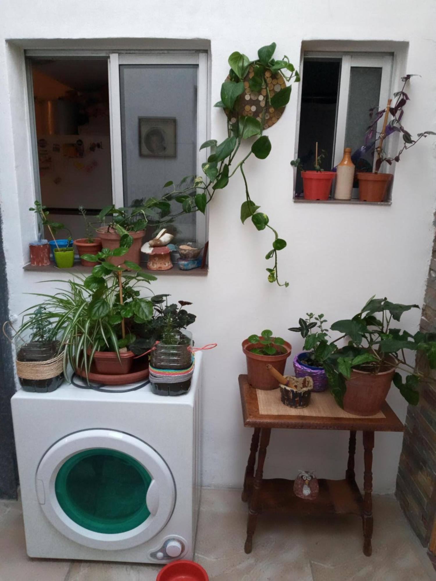 Habitación en casa particular En Apto Compartido Persona