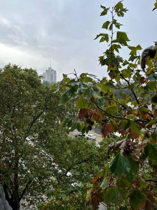 Hermoso Y Monoambiente En Tres Cruces Apartamento *