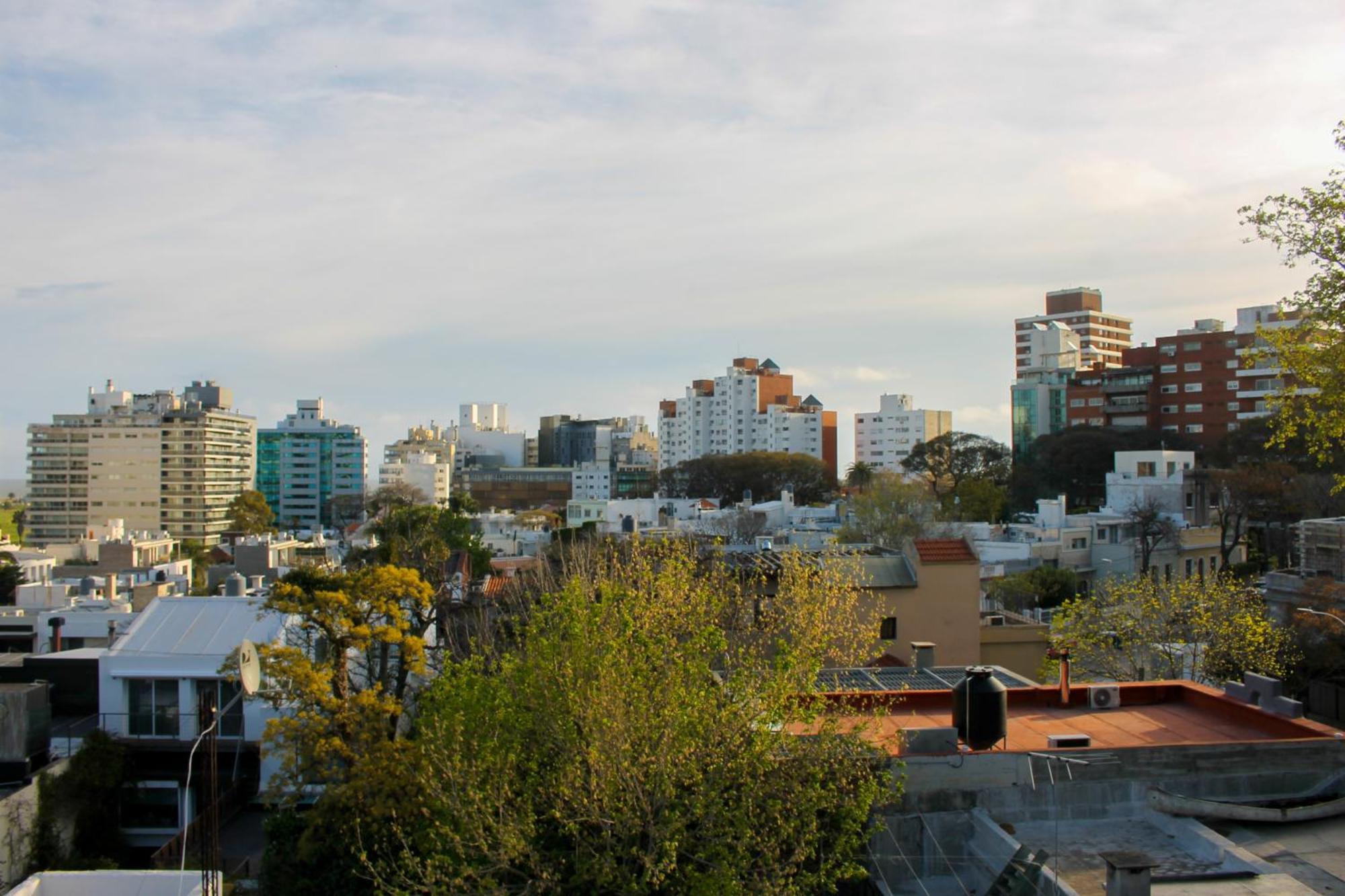 Edificio M1 - Edificio Frente A Punta Carretas Shopping - Gym Laundry Parrillero Solarium *