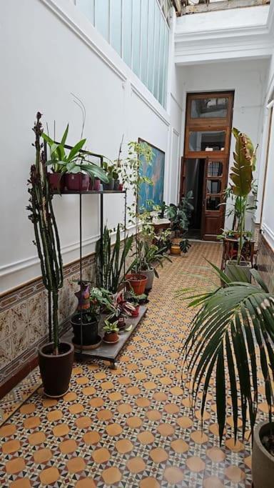 Loft Reciclado Estilo Antiguo A 100mts Del Mar 101 Apartamento Montevideo