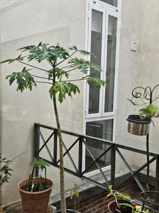 Loft Reciclado Estilo Antiguo A 100mts Del Mar 101 Apartamento