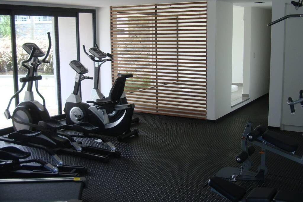 Apartamento Loop 1d, 80 M2, Parrillero Y Deck En Carrasco
