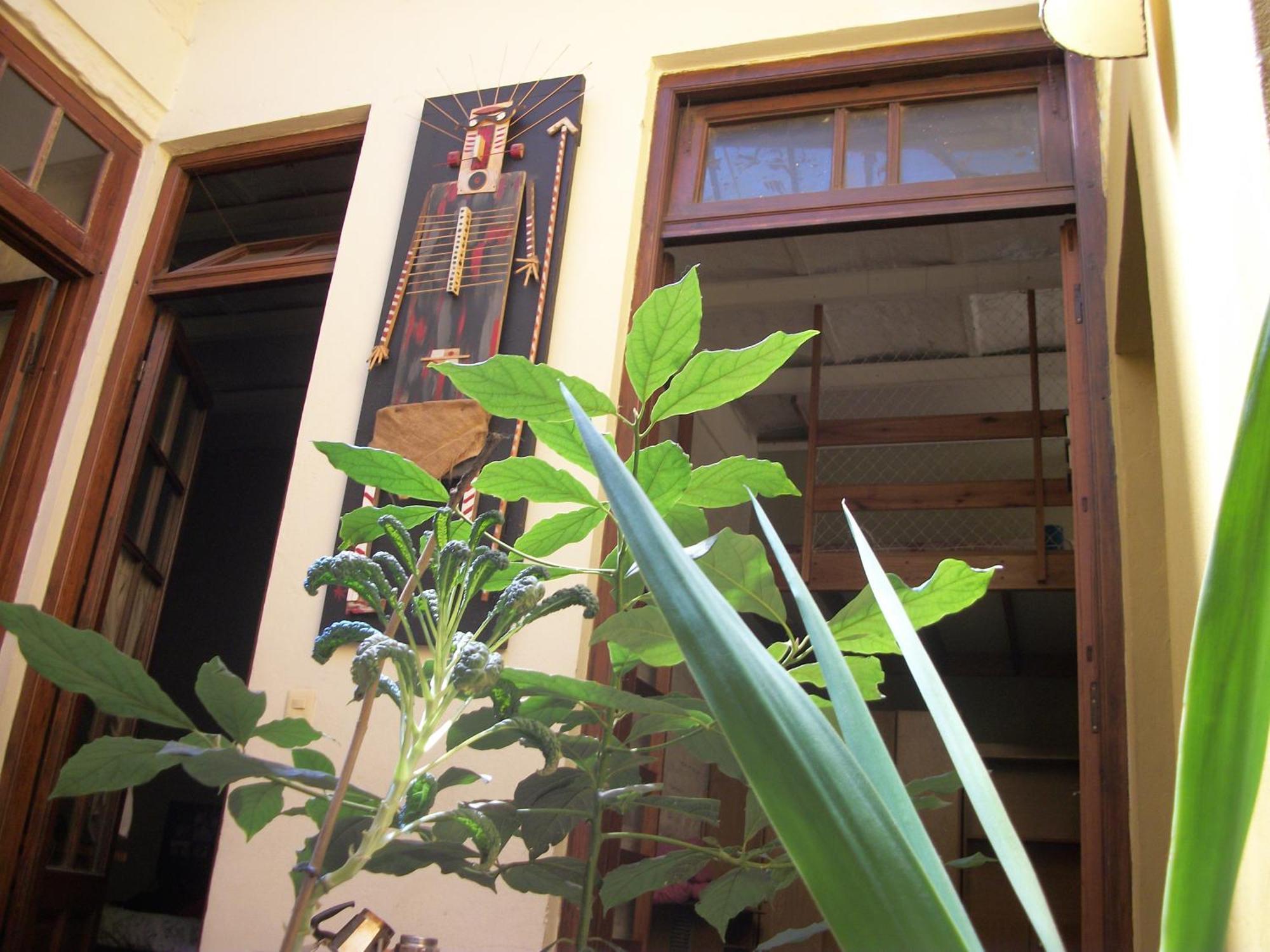 Campo de lujo Planeta Claraboya