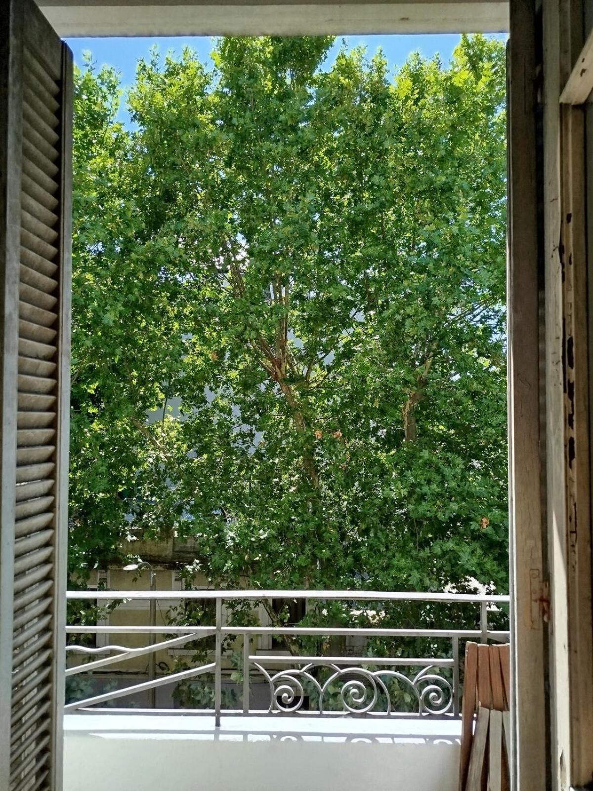Apartamento Comodo En Excelente Ubicacion *