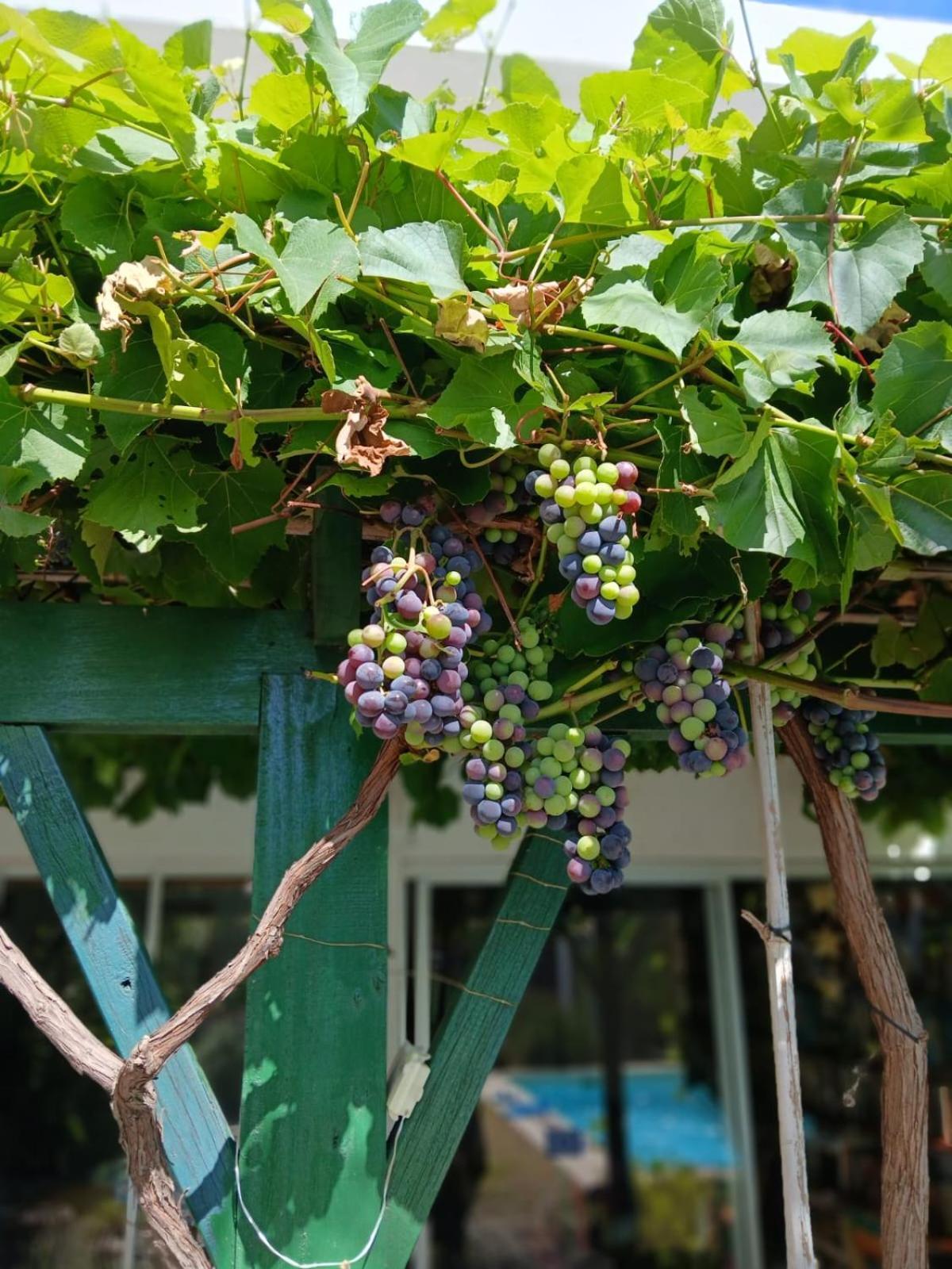 Apartamento Del Parque