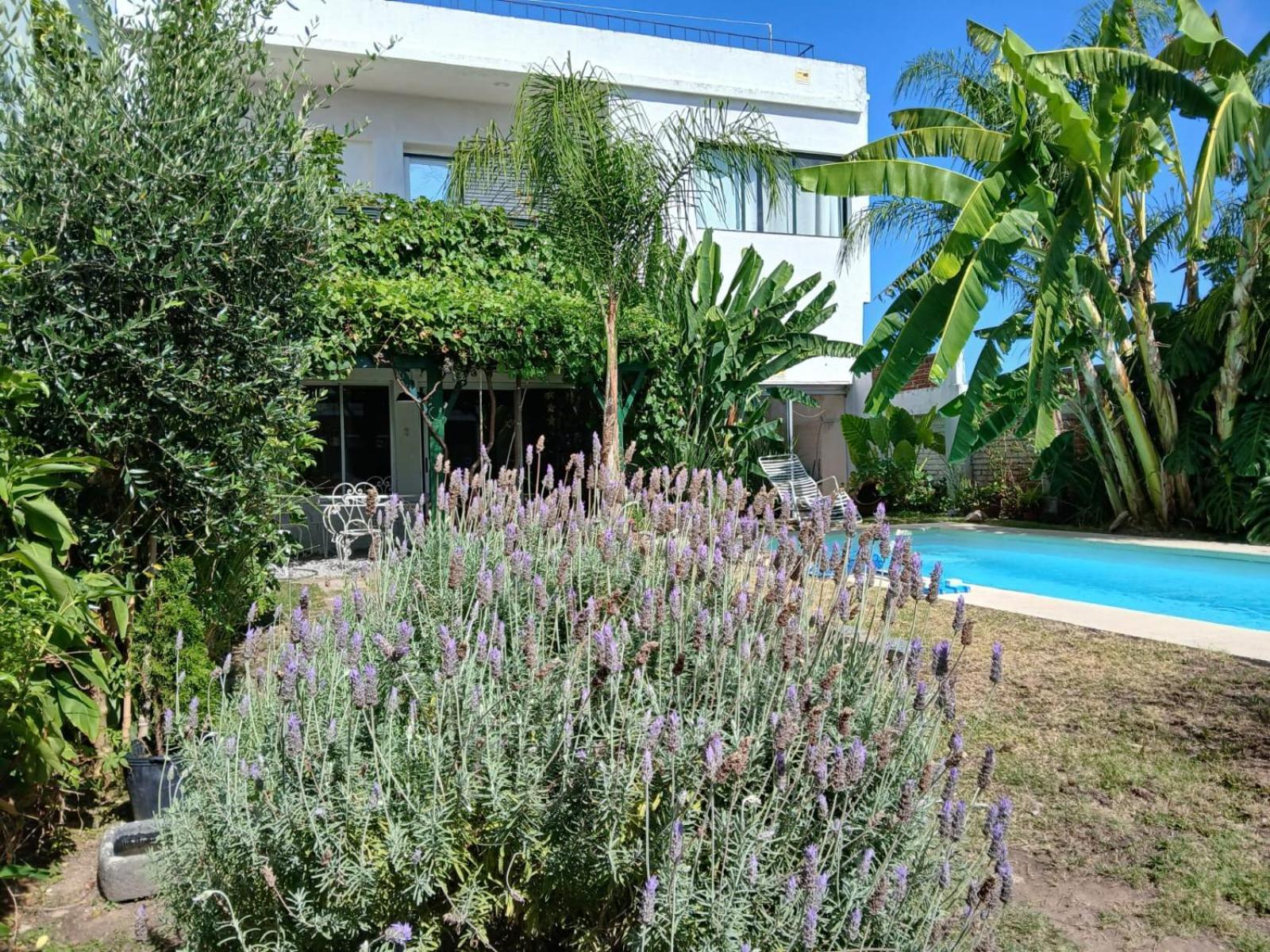 Del Parque Apartamento *
