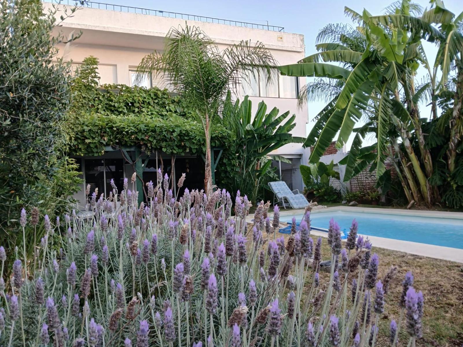 Apartamento Del Parque Montevideo