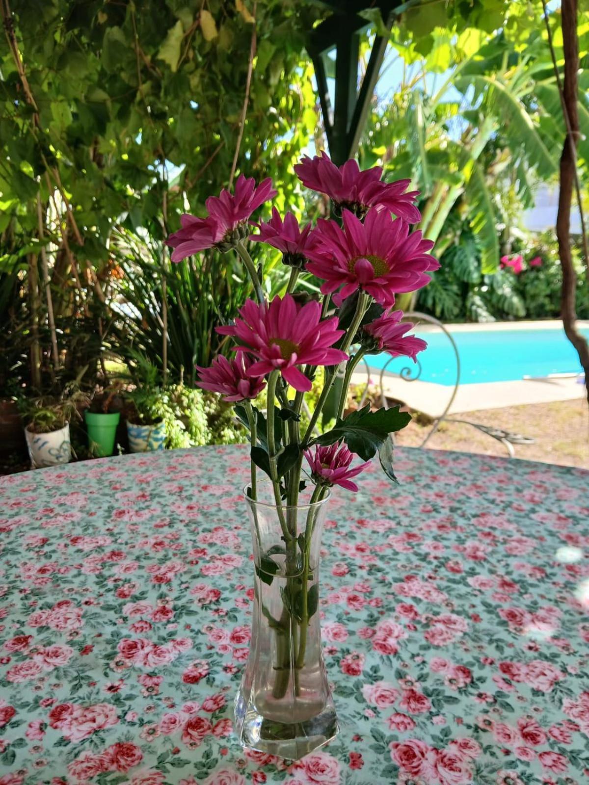 Apartamento Del Parque *