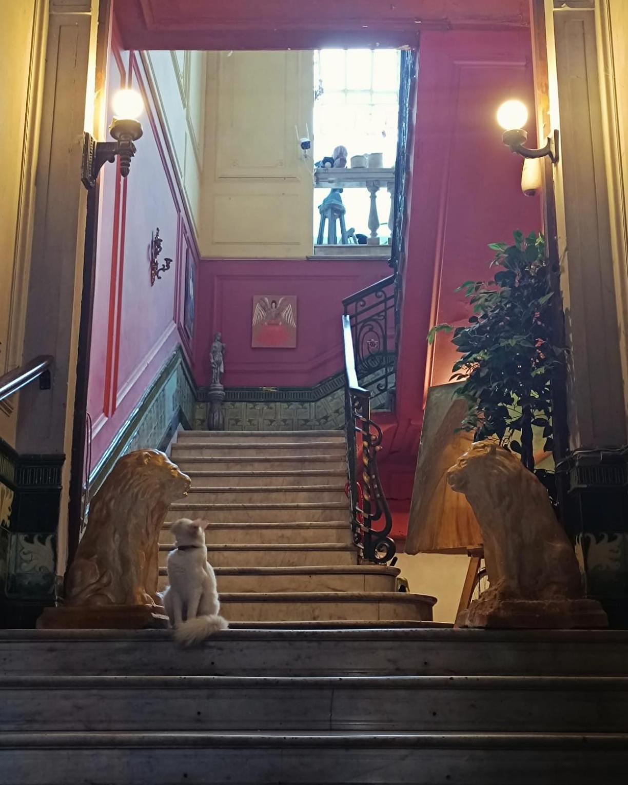 El Secreto Casa Art Hospedagem domiciliar Montevideu