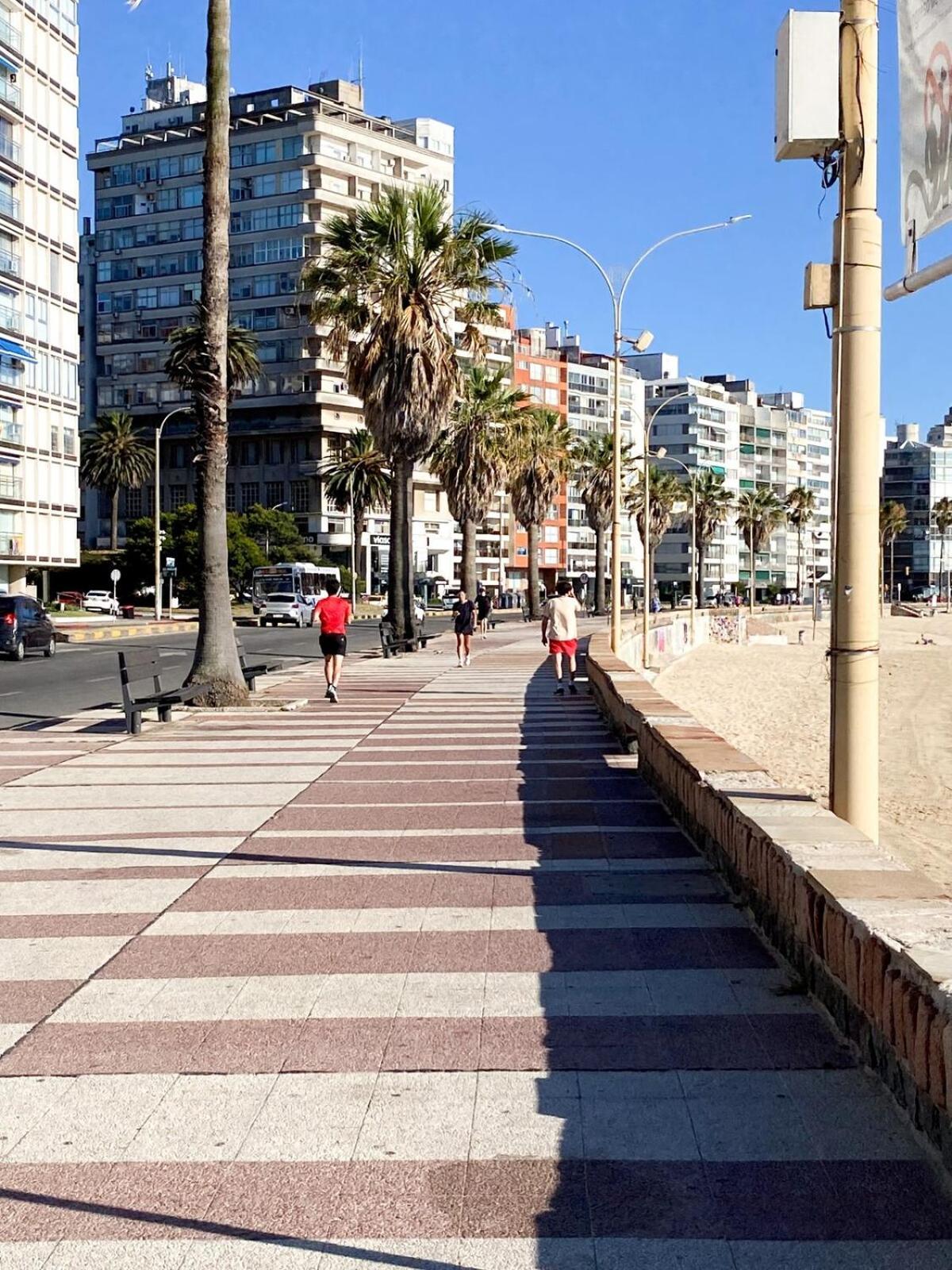 Apartamento Departamento En Punta Carretas *