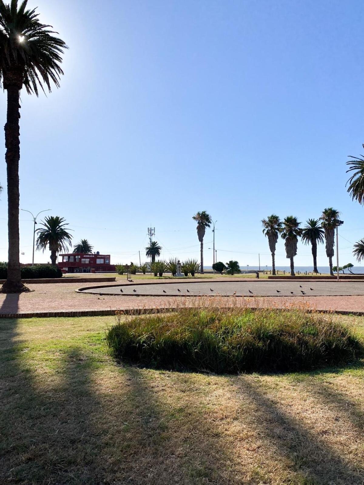 Apartamento Departamento En Punta Carretas Montevideo