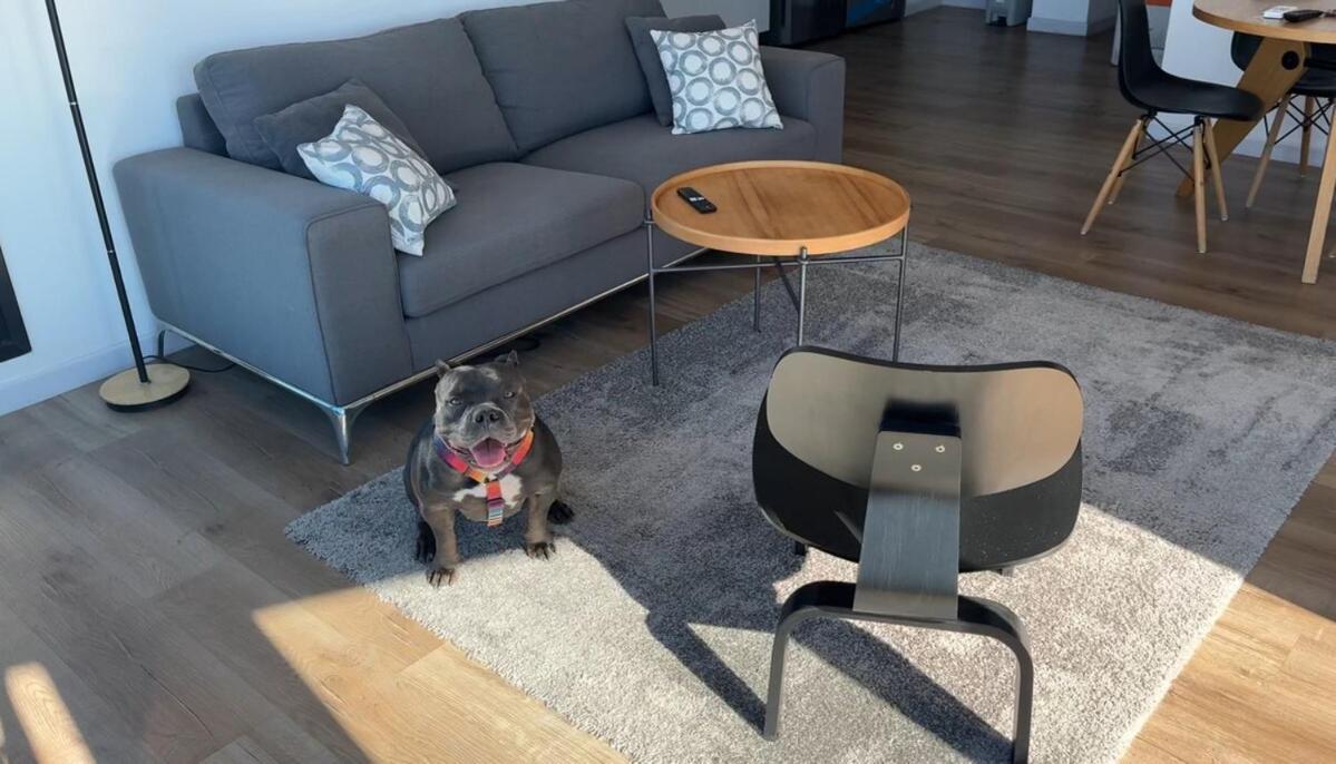 Apartamento Exclusive 25th Floor And Harbor View - Pet Friendly