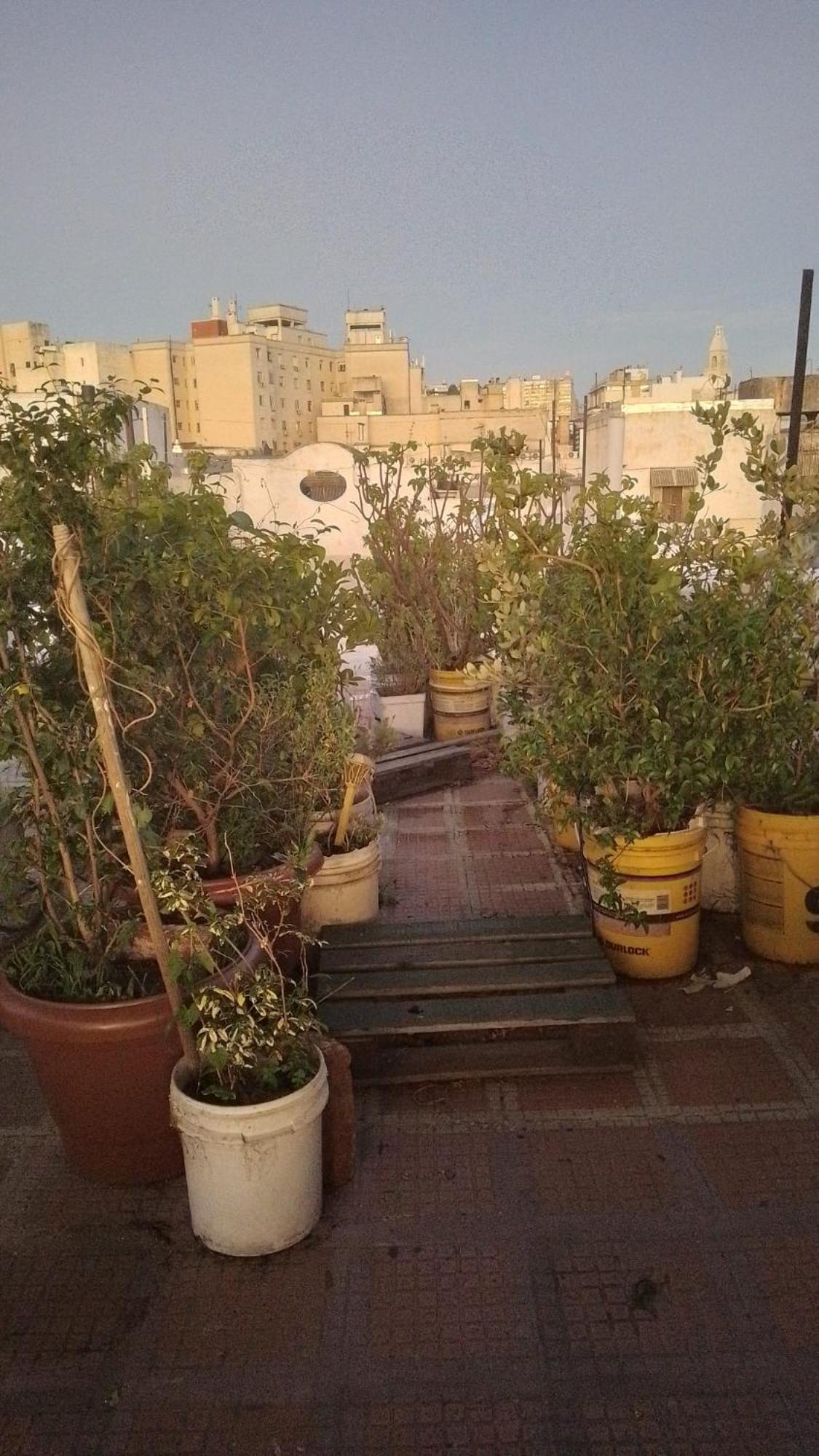 Apartamento On Pedestrian Street Great Location En Ciudad Vieja *