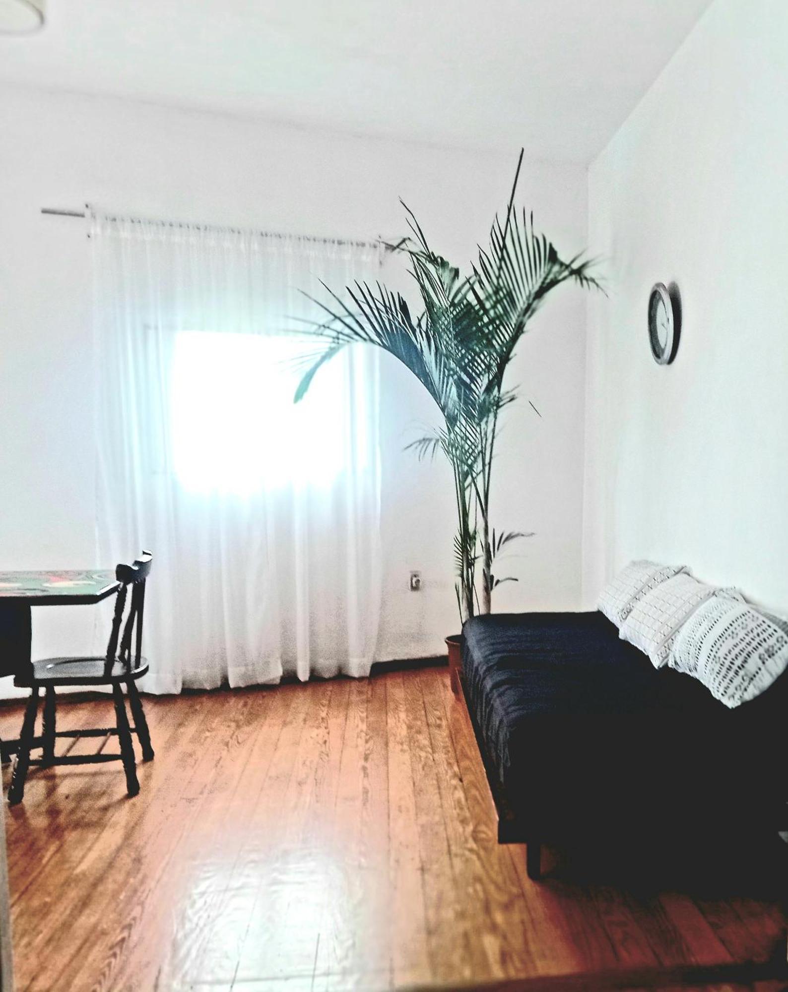 Apartamento Entero Esquina Rambla Y Centrico Apartment *