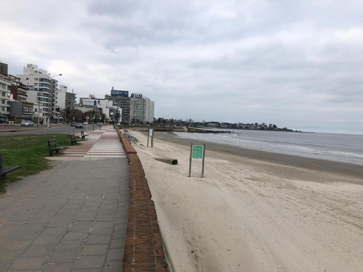 Frente Al Mar , Sobre Rambla Malvin Apartamento *
