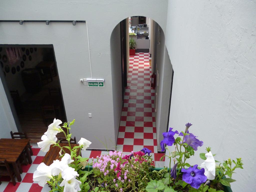 Hostal Caballo Loco