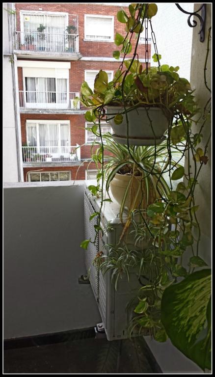 Apartamento Centro Montevideo