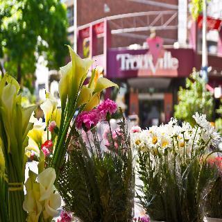 Massini Hotel 3*