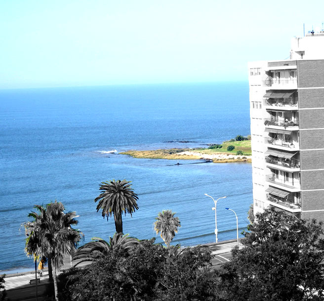 Palm Plaza