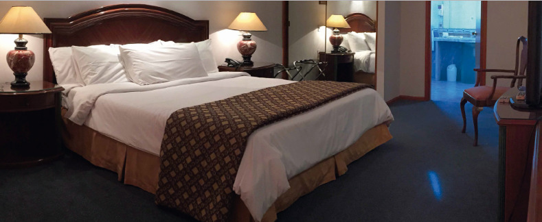 Hotel Crystal Palace