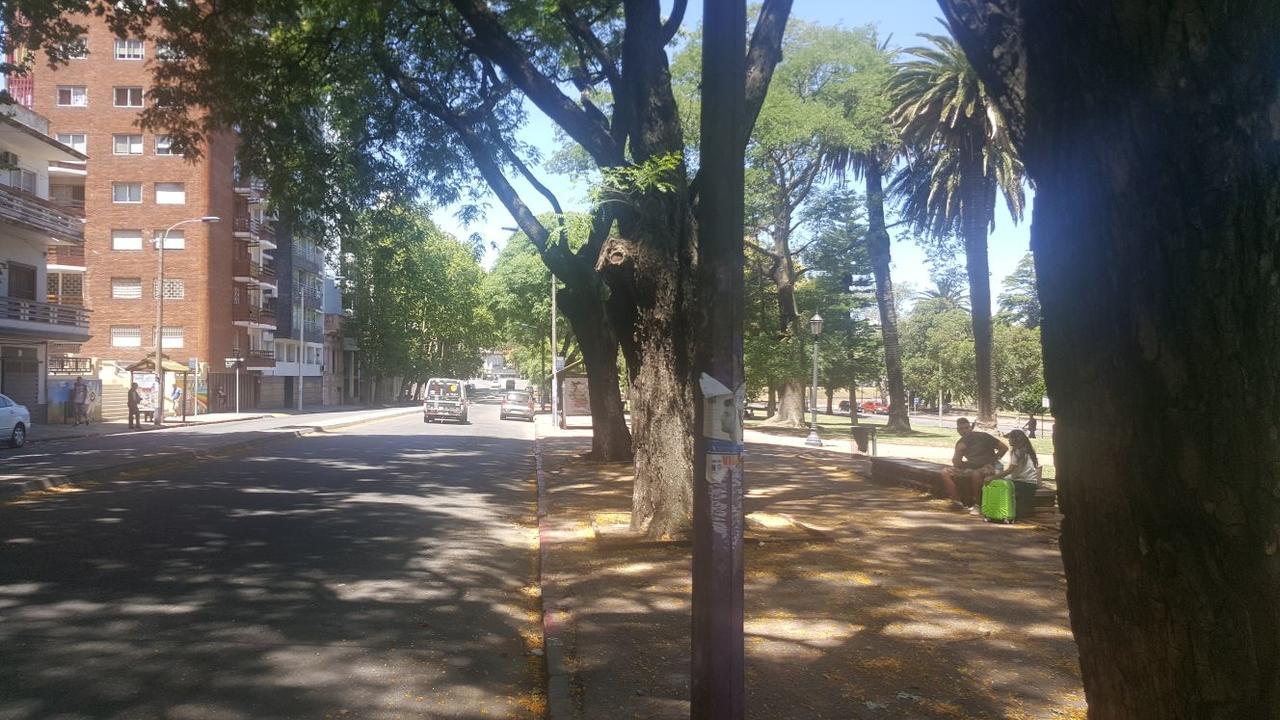 Edificio Paseo Del Lago Apartamento