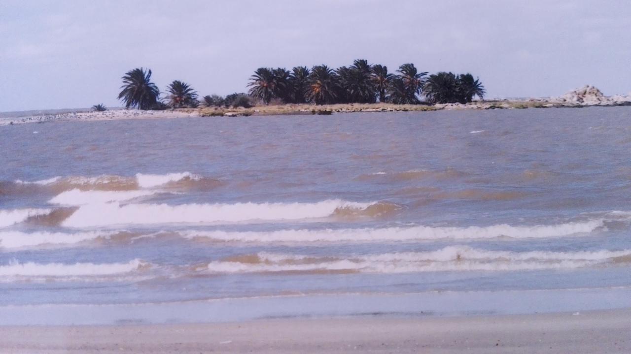 Gaviota