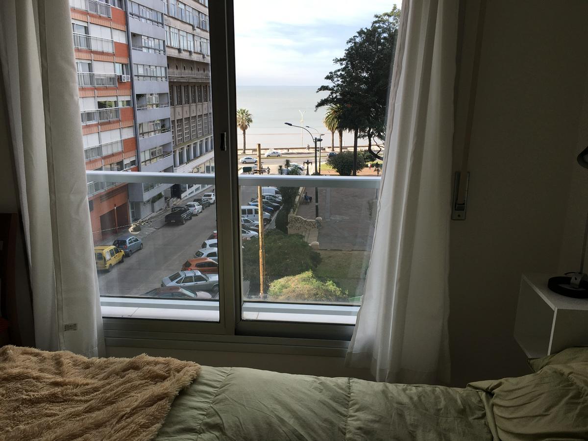 Palm Montevideo