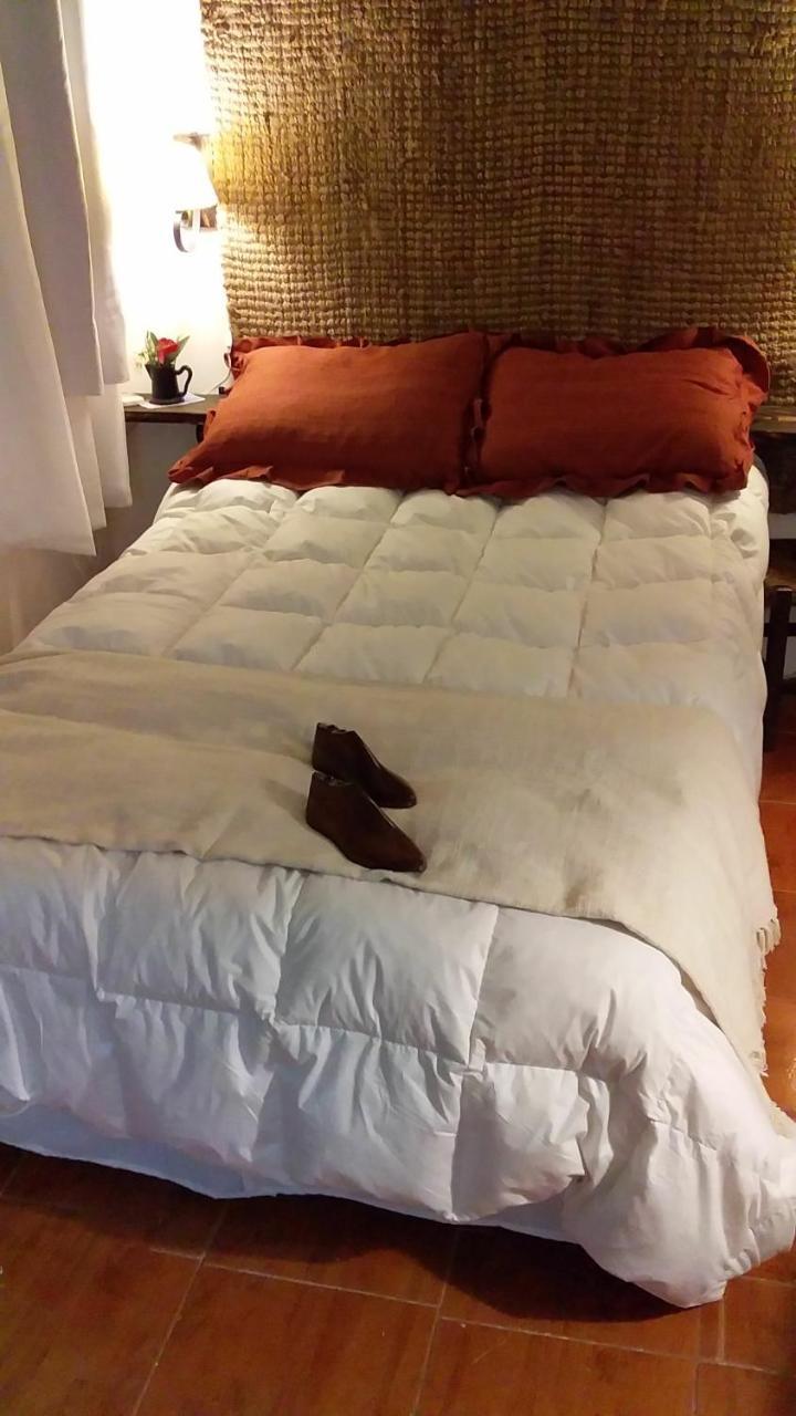 Apartamento Apartamento Monoambiente Viejo Pancho