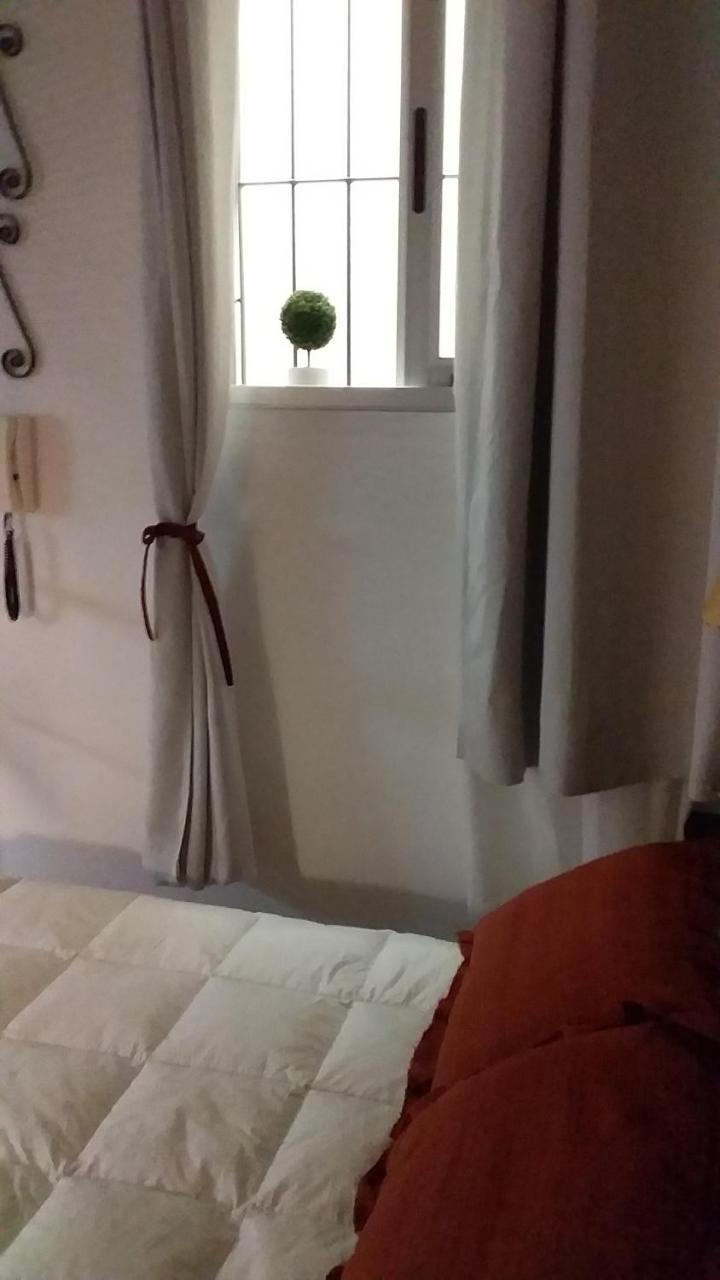 Apartamento Monoambiente Viejo Pancho Apartamento
