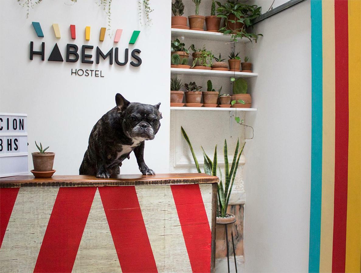 Hostel Habemus Montevideo