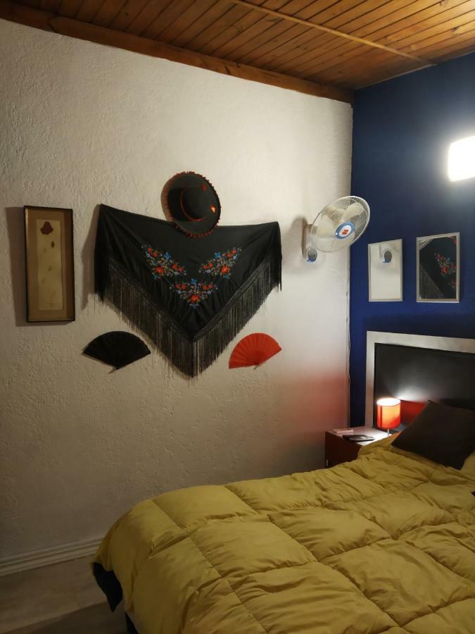 Apartment Playa, Bosque Y Montevideo