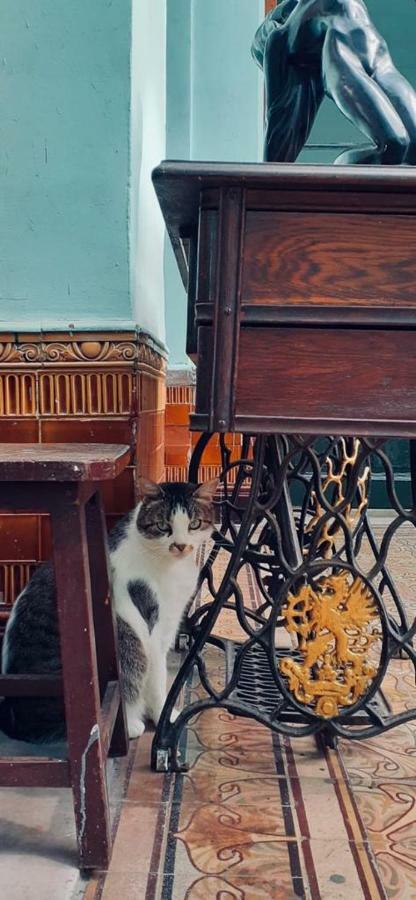 El Secreto Casa Art Hospedagem domiciliar *