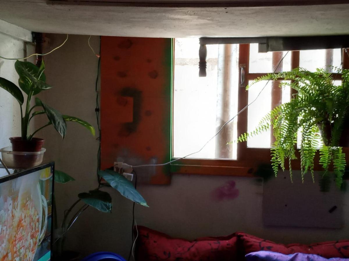 La Casa Verde Pensión *