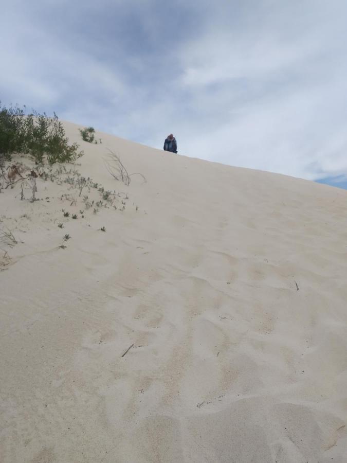 Playa, Bosque Y *