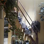Planeta Claraboya