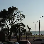 Marazul
