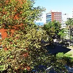 Plaza Gomensoro Suite
