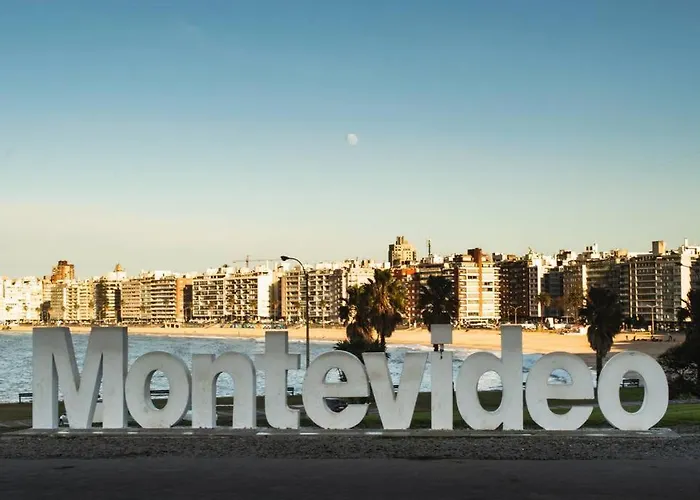 Acogedor Mono En Plaza Entrevero