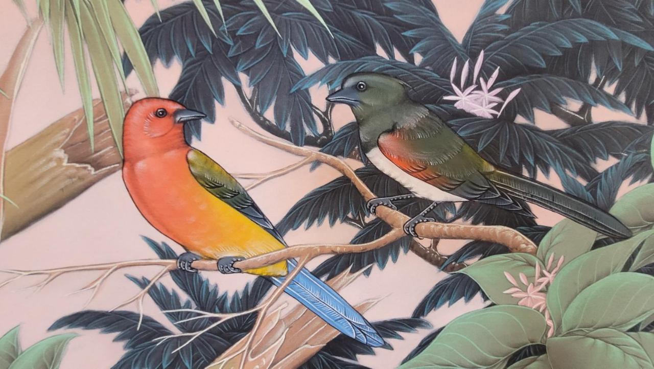 Pensão Fauna 3*