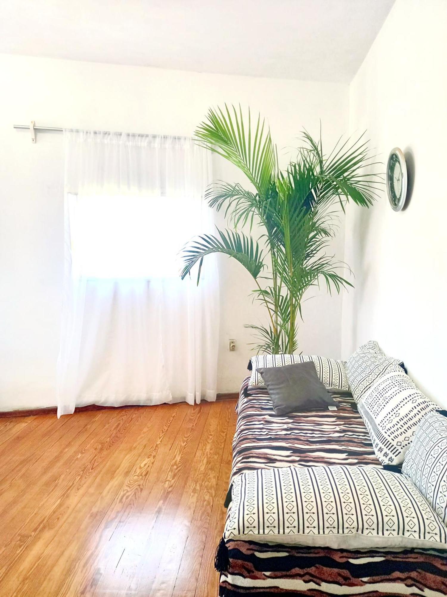 Esq Rambla Y Centrico Apartamento