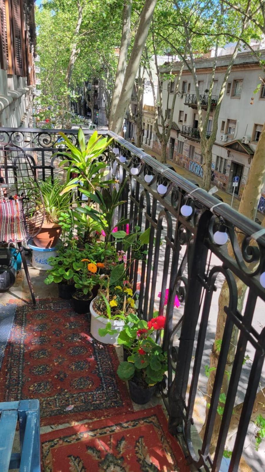 Montevideo Hostel * Montevideo